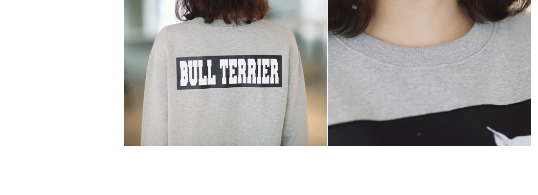 bull terrier m2m|